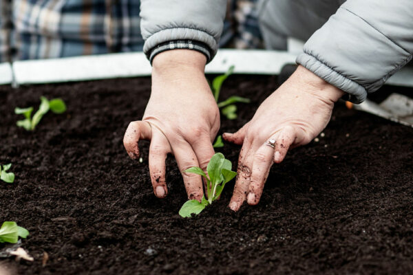 agricultured_highlight_day_1-12